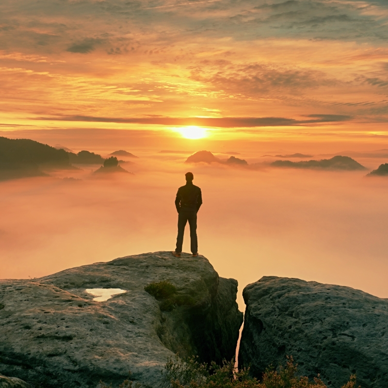 WHY UNDERSTANDING YOUR GROWTH STAGE MATTERS